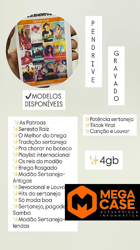 Pend rive Gravado com diversos tipo de musicas